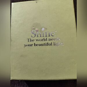 Shine fine stainless steel adjustable bangle, nwt